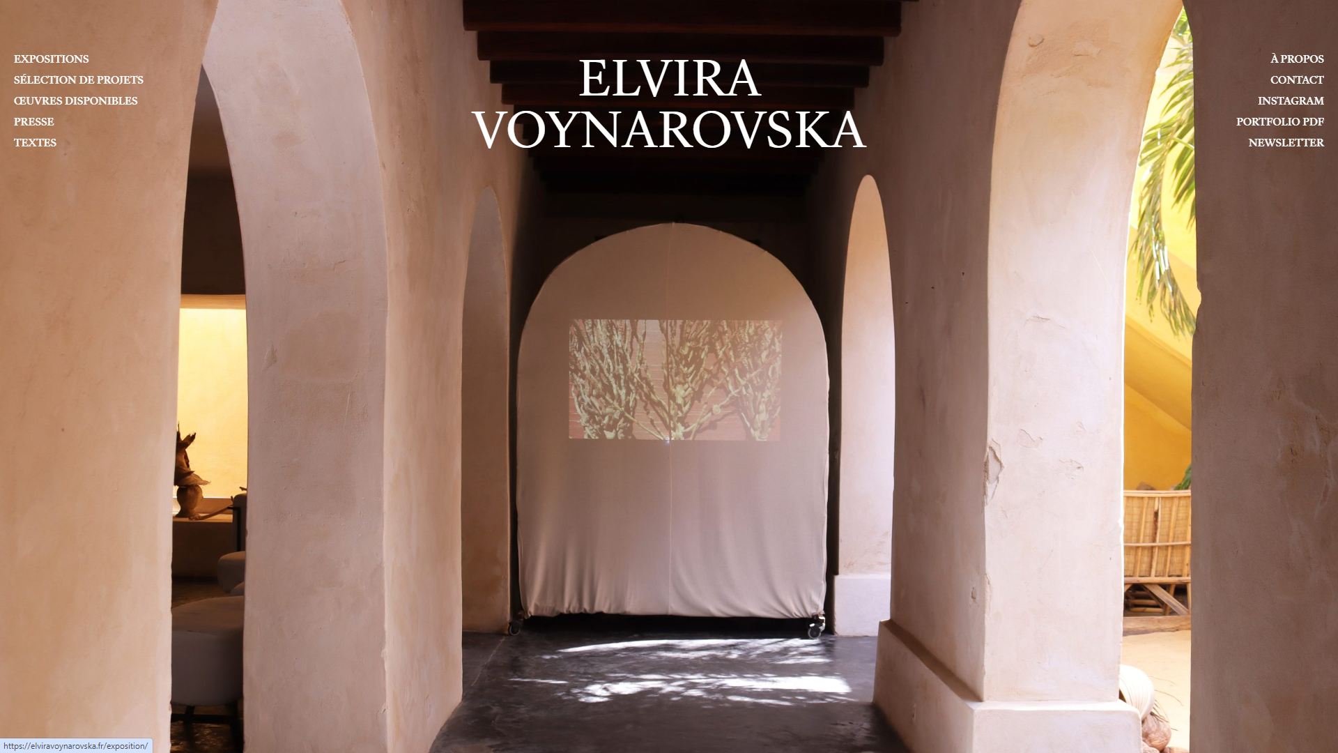 Image de présentation de Elvira Voynarovska